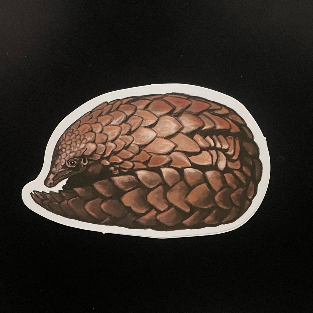 Pangolin Sticker